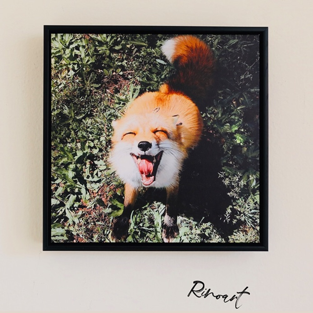 Smiling Fox - Rinoarts Collection